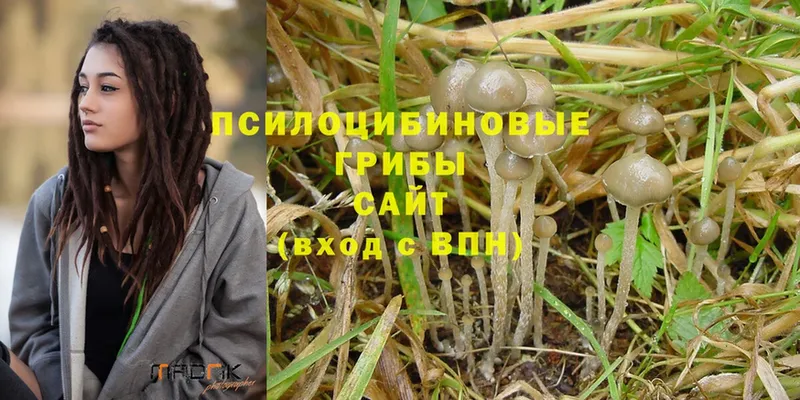 Галлюциногенные грибы Magic Shrooms  Белёв 